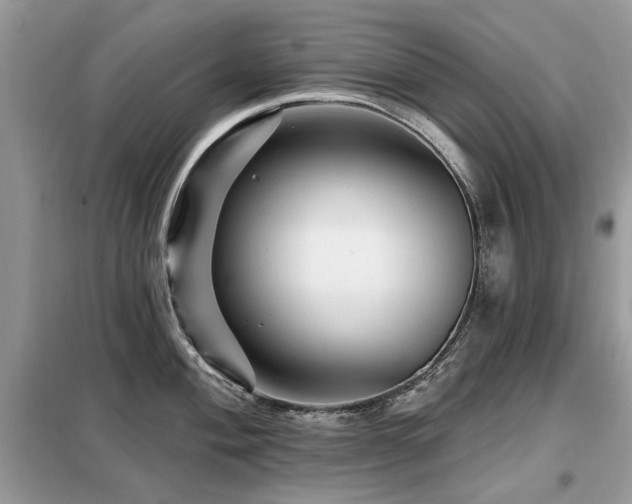 X0000099451004200805091502