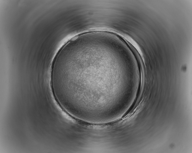 X0000099451005200805091502
