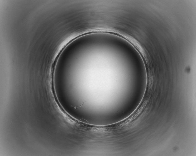 X0000099451006200805091502