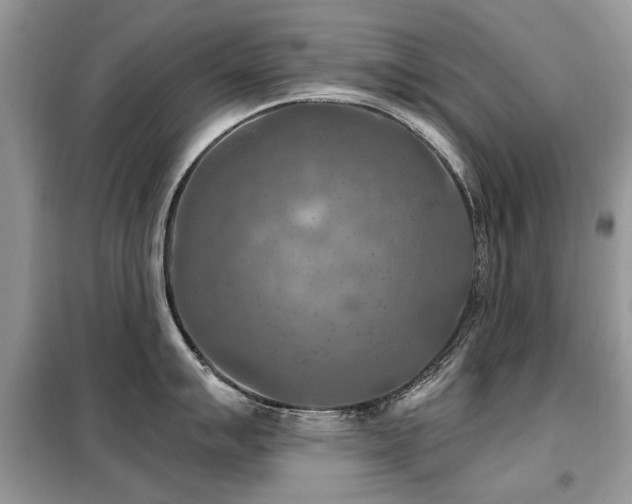 X0000099451007200805091502