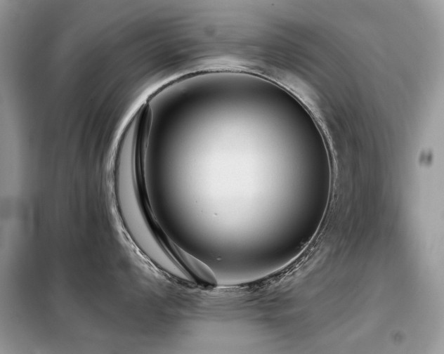 X0000099451008200805091502