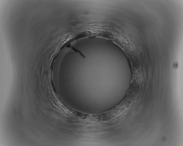 X0000099451009200805091501