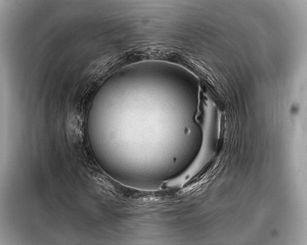 X0000099451010200805091501