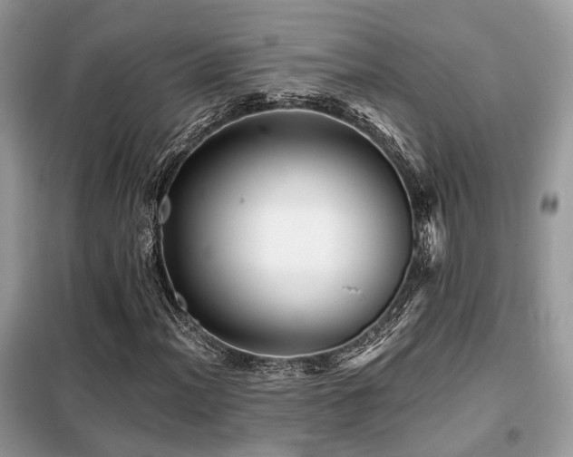 X0000099451012200805091501