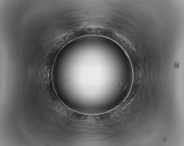 X0000099451013200805091501