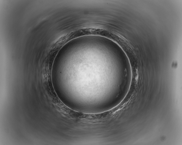 X0000099451014200805091501