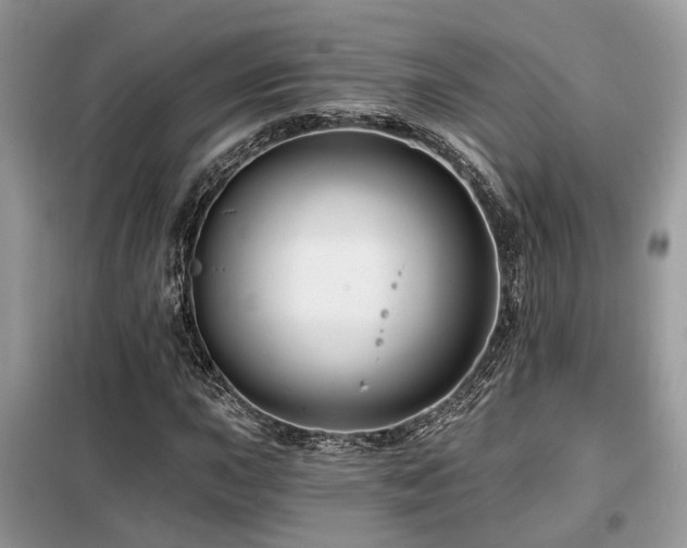 X0000099451015200805091501