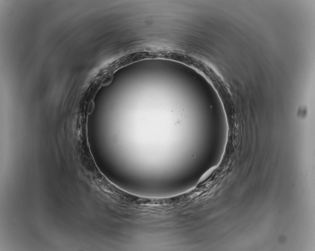 X0000099451016200805091501