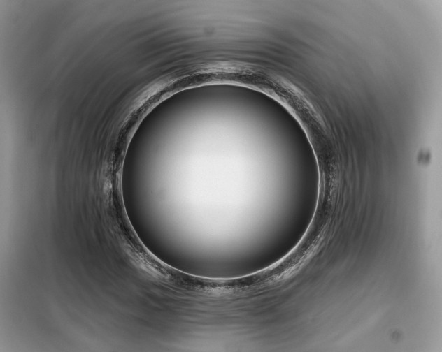 X0000099451017200805091501