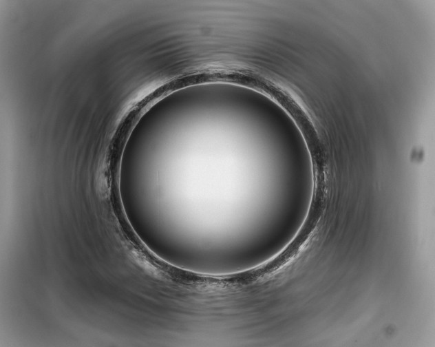 X0000099451018200805091501