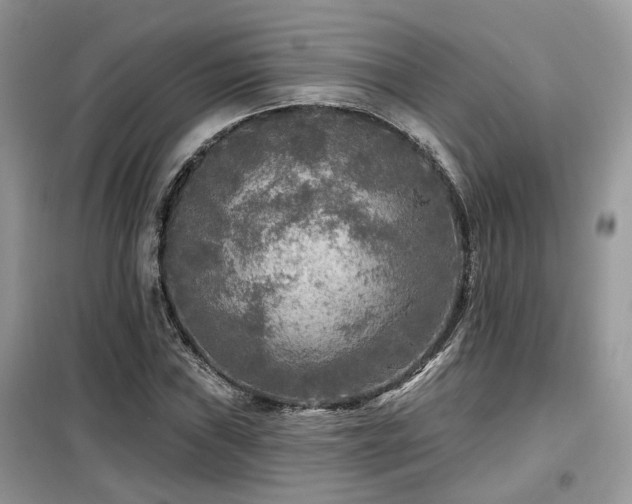 X0000099451019200805091501