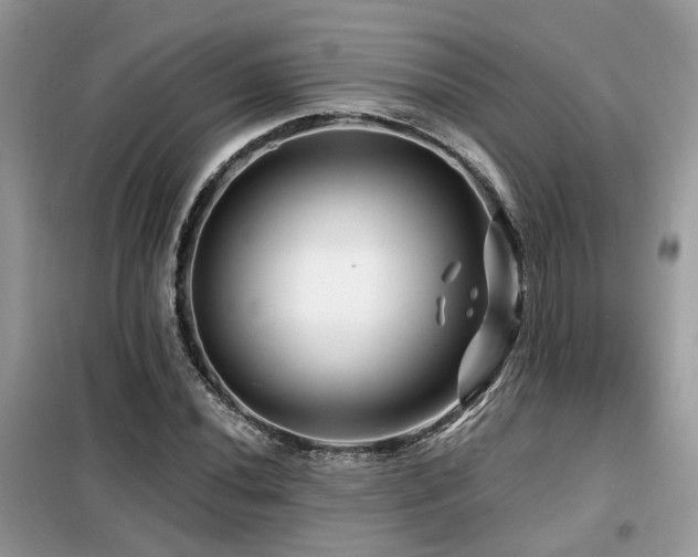 X0000099451020200805091501