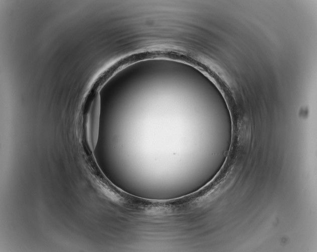 X0000099451021200805091501