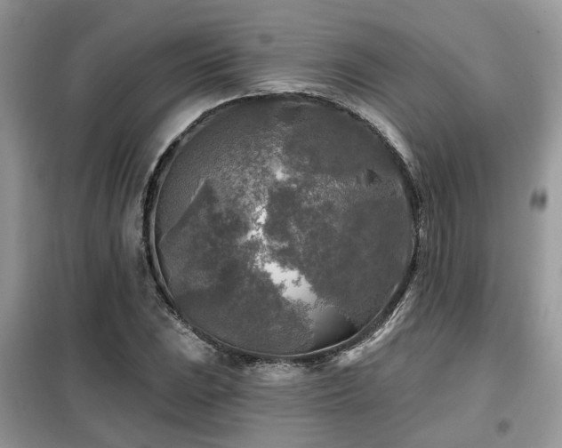 X0000099451023200805091501