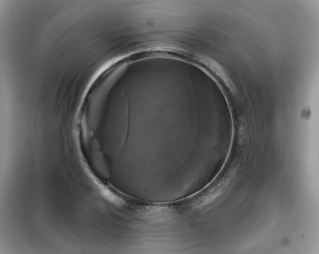 X0000099451024200805091501