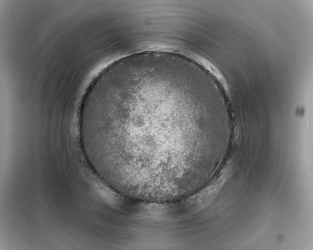 X0000099451027200805091501