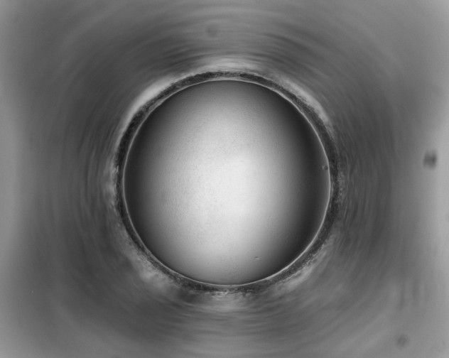 X0000099451029200805091501