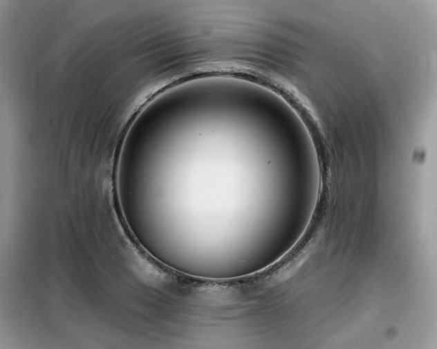 X0000099451033200805091501