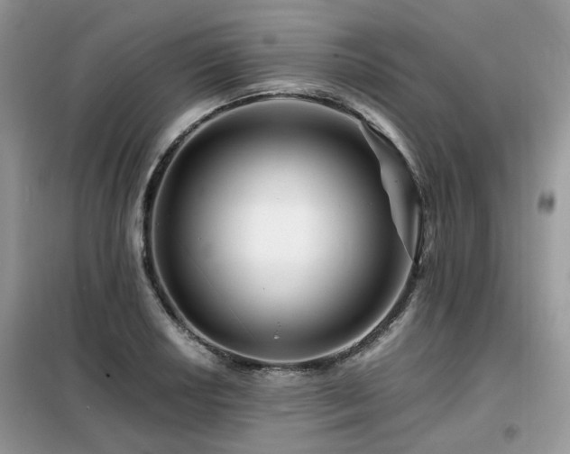 X0000099451034200805091501