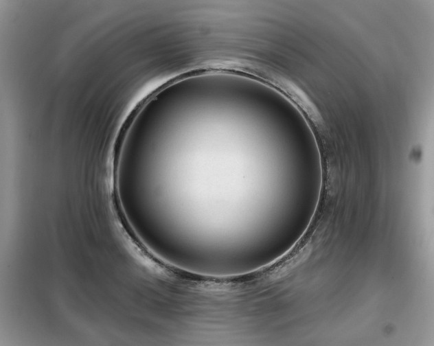 X0000099451036200805091501