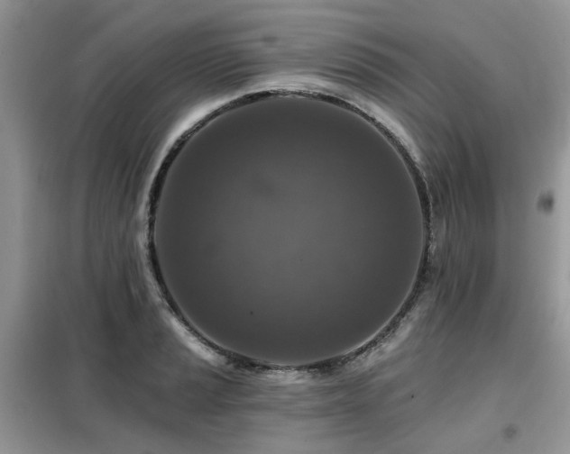 X0000099451037200805091501