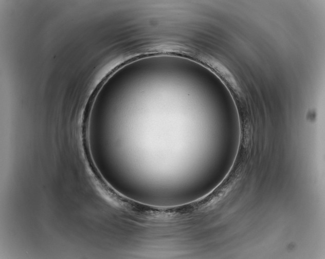 X0000099451039200805091501