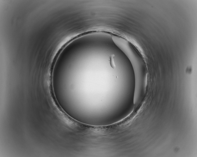 X0000099451040200805091501