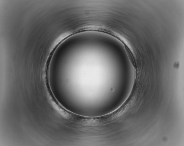 X0000099451042200805091501