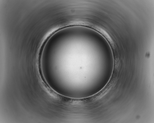 X0000099451043200805091501