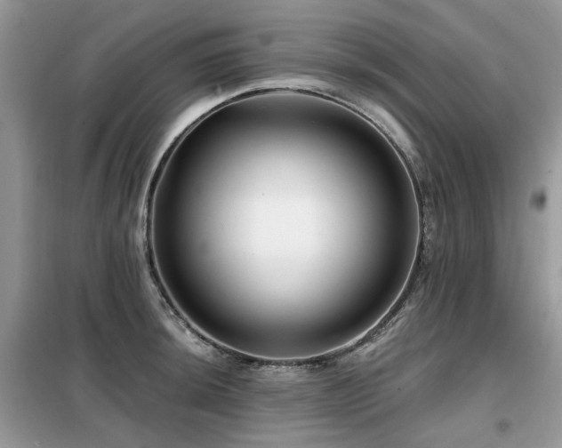 X0000099451044200805091501