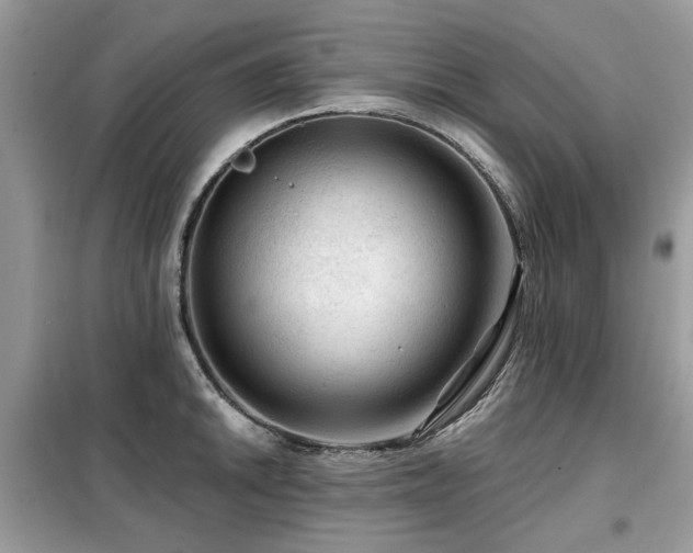 X0000099451046200805091501