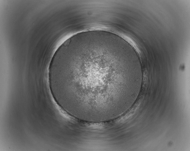 X0000099451047200805091501