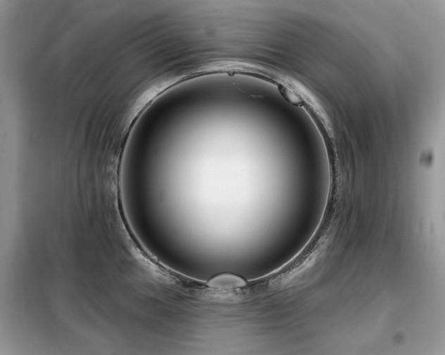 X0000099451049200805091501