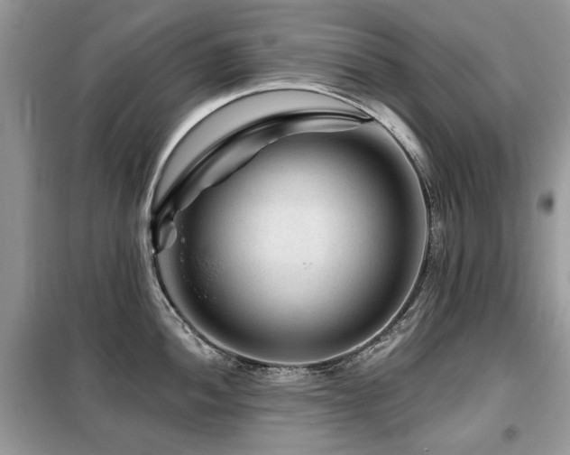 X0000099451052200805091501