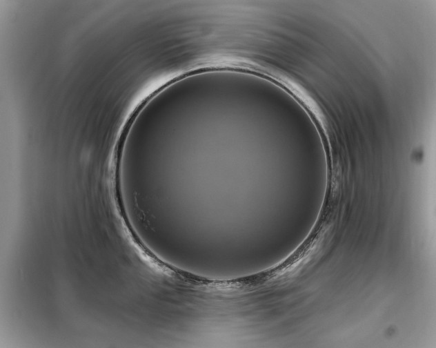 X0000099451053200805091501