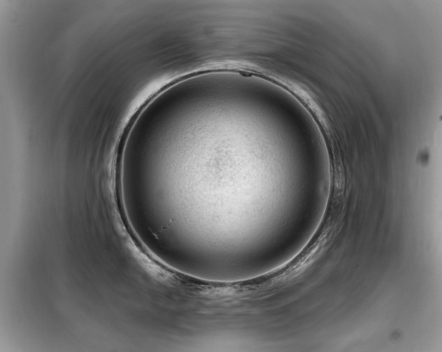 X0000099451054200805091501