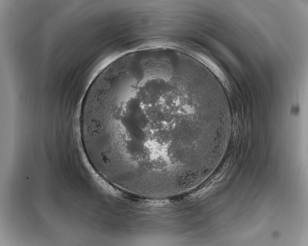 X0000099451055200805091502