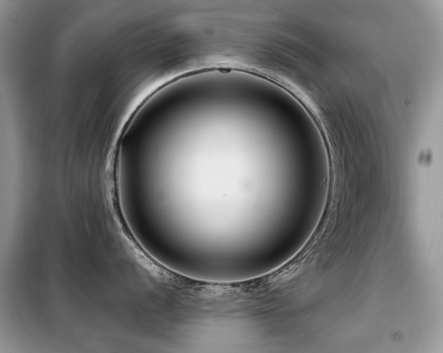 X0000099451056200805091502