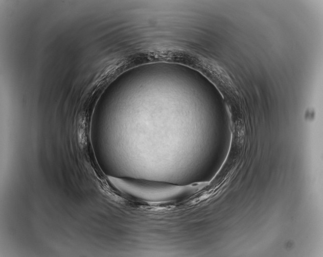 X0000099451060200805091501