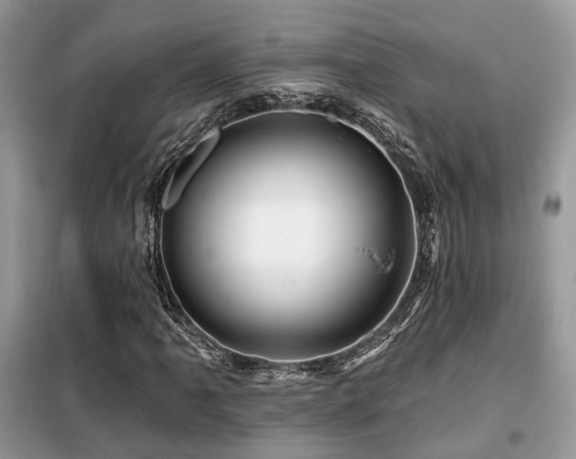 X0000099451061200805091501