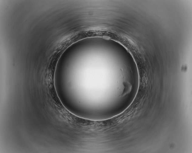 X0000099451062200805091501