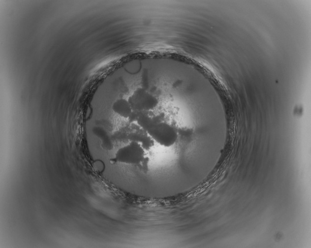 X0000099451063200805091501