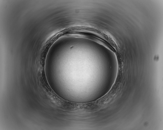 X0000099451064200805091501