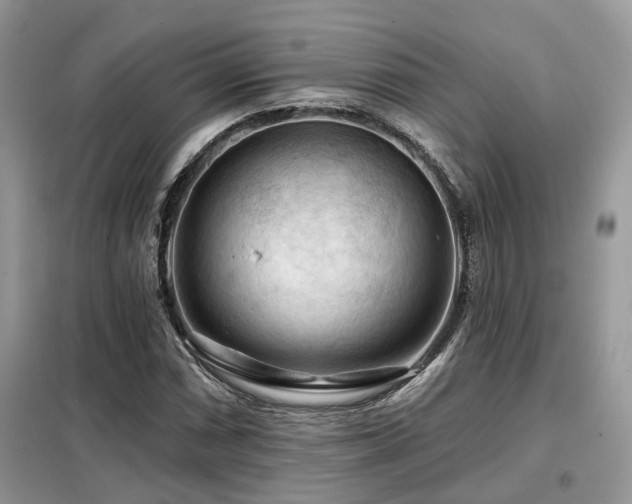 X0000099451066200805091501