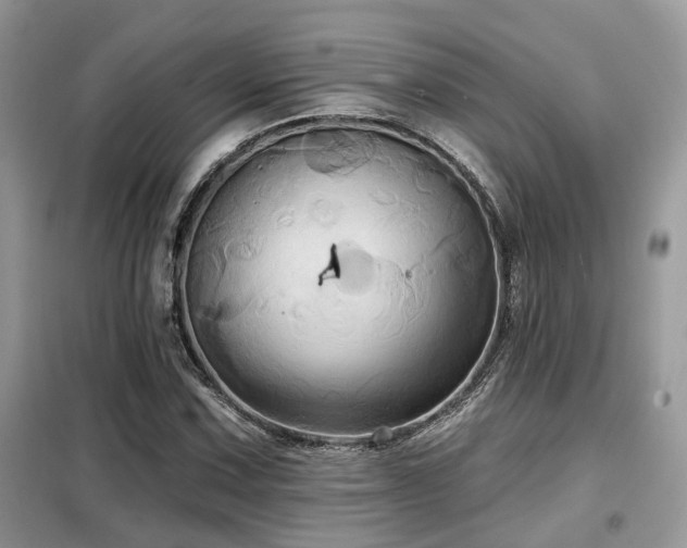X0000099451067200805091501