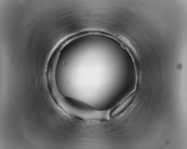 X0000099451068200805091501