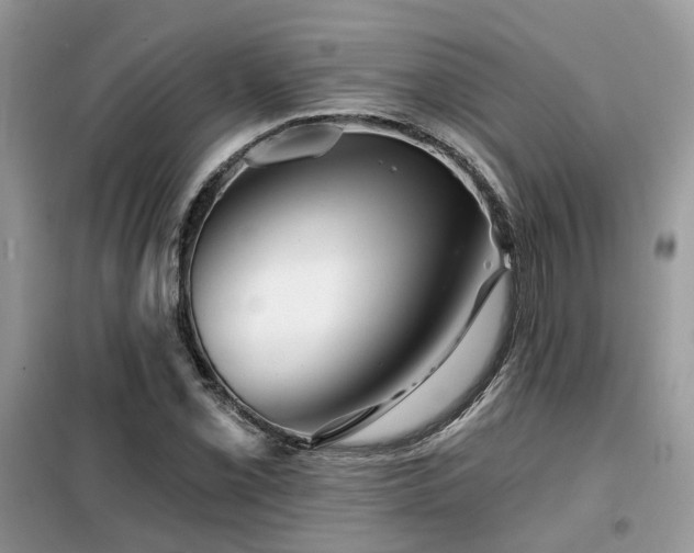 X0000099451069200805091501