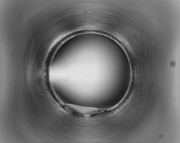 X0000099451070200805091501
