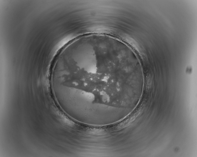 X0000099451071200805091501