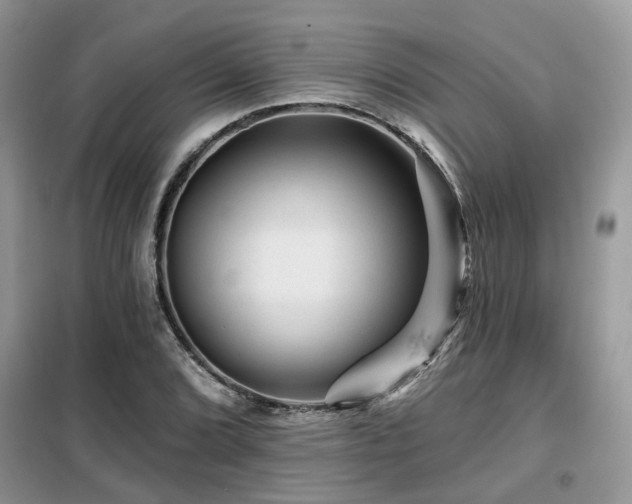 X0000099451072200805091501